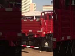 Howo 4*2 Camion leggero Camion merci